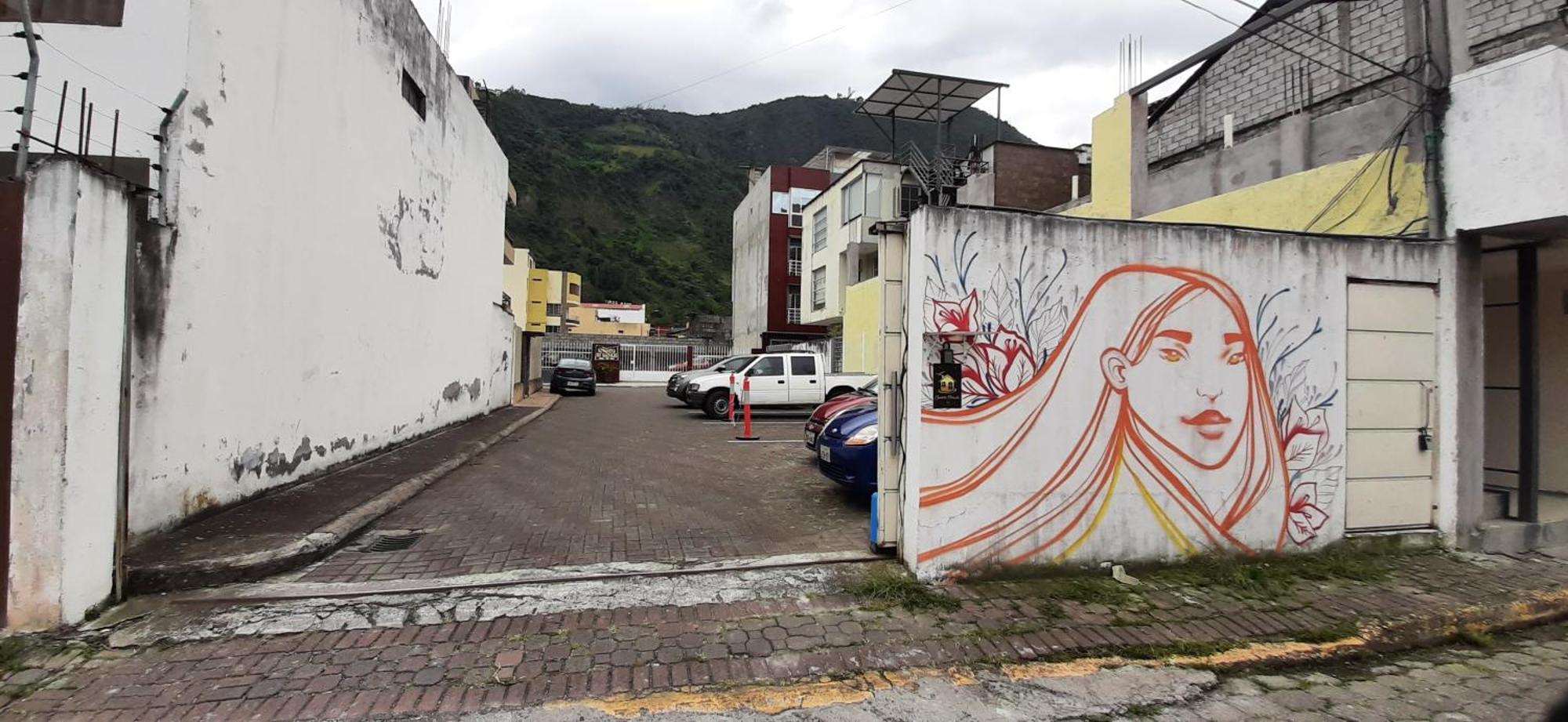 Casa Gaviota Dorada * Banos (Tungurahua)